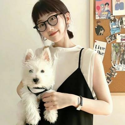 以人民的名义