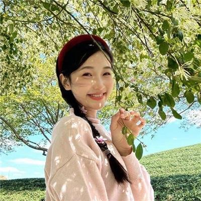 森林随处可见